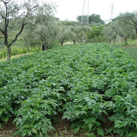 Vakantieboerderij Agriturismo Il Fienile *