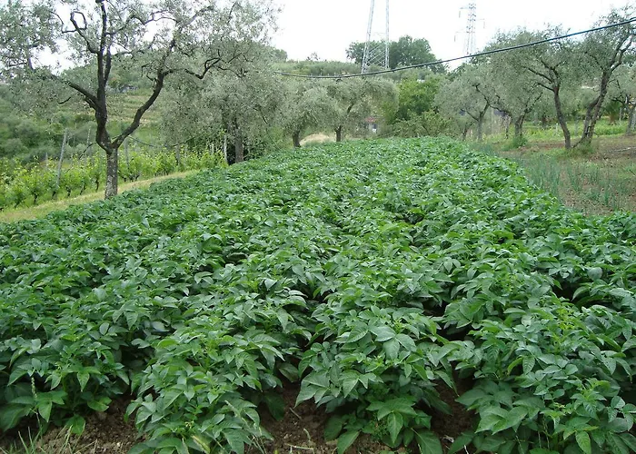 팜스테이 Agriturismo Il Fienile *